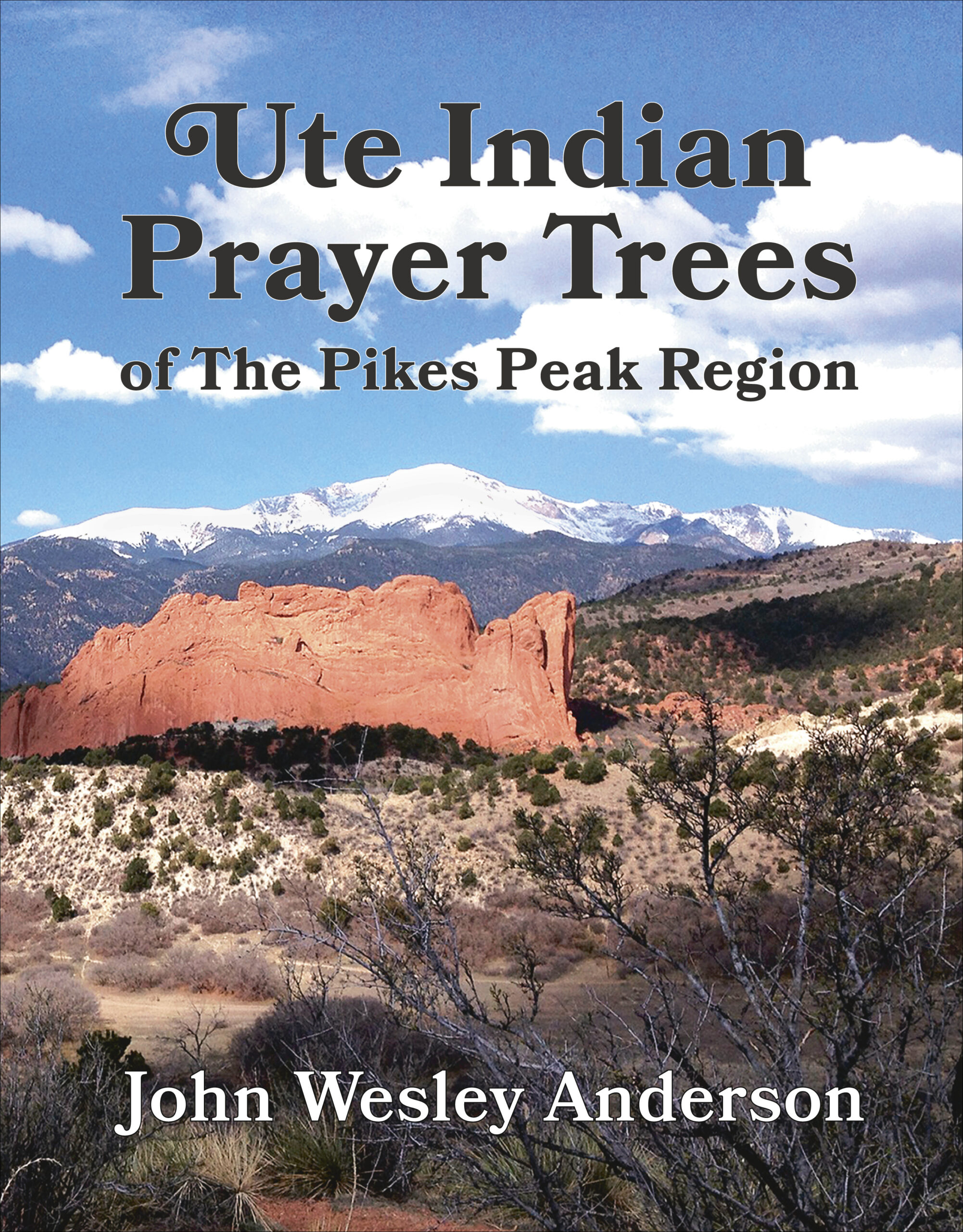 Case Cover 12-24-20.indd